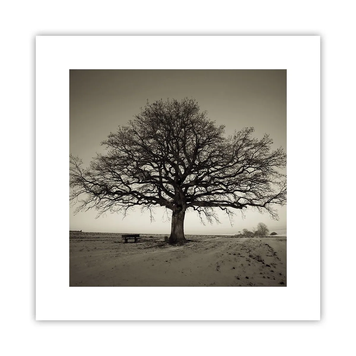 Plagát - Odtiaľ až do večnosti - 30x30 cm