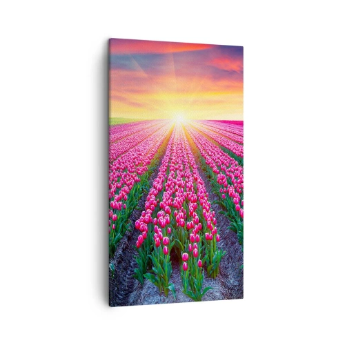 Obraz na plátne - Farma krásy - 45x80 cm