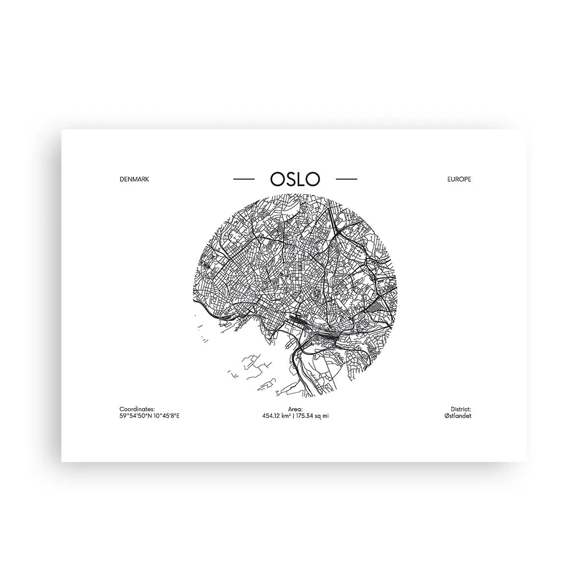 Plagát - Anatómia Osla - 70x50 cm