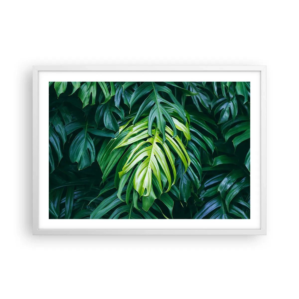 Plagát v bielom ráme - Ponoriť sa do sviežosti - 70x50 cm