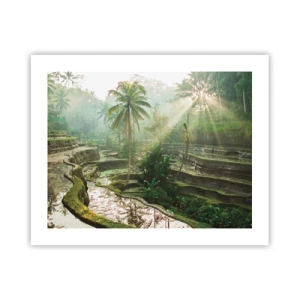 Plagát - Vyrastať na slnku - 50x40 cm