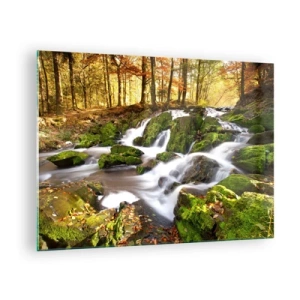 Obraz na skle - Lesný potok s vodopádmi v jesennej krajine - 70x50cm - Chvatom jesenným lesom - Moderná nástenná dekorácia do obývacej izby a spálne ARTTOR
