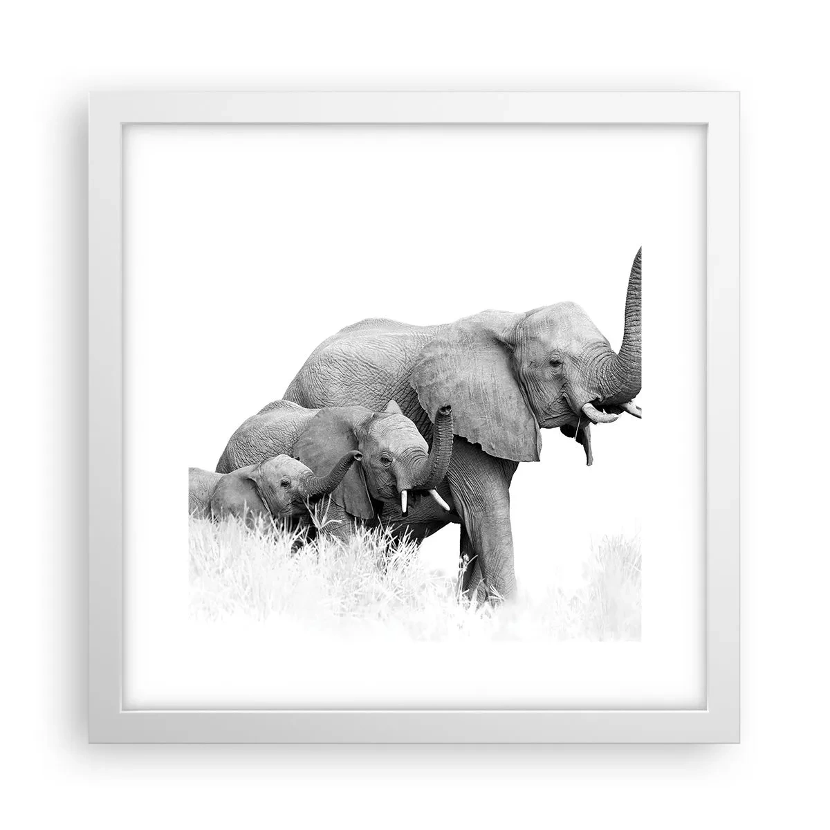 Plagát v bielom ráme - Jedna, dve, tri - 30x30 cm