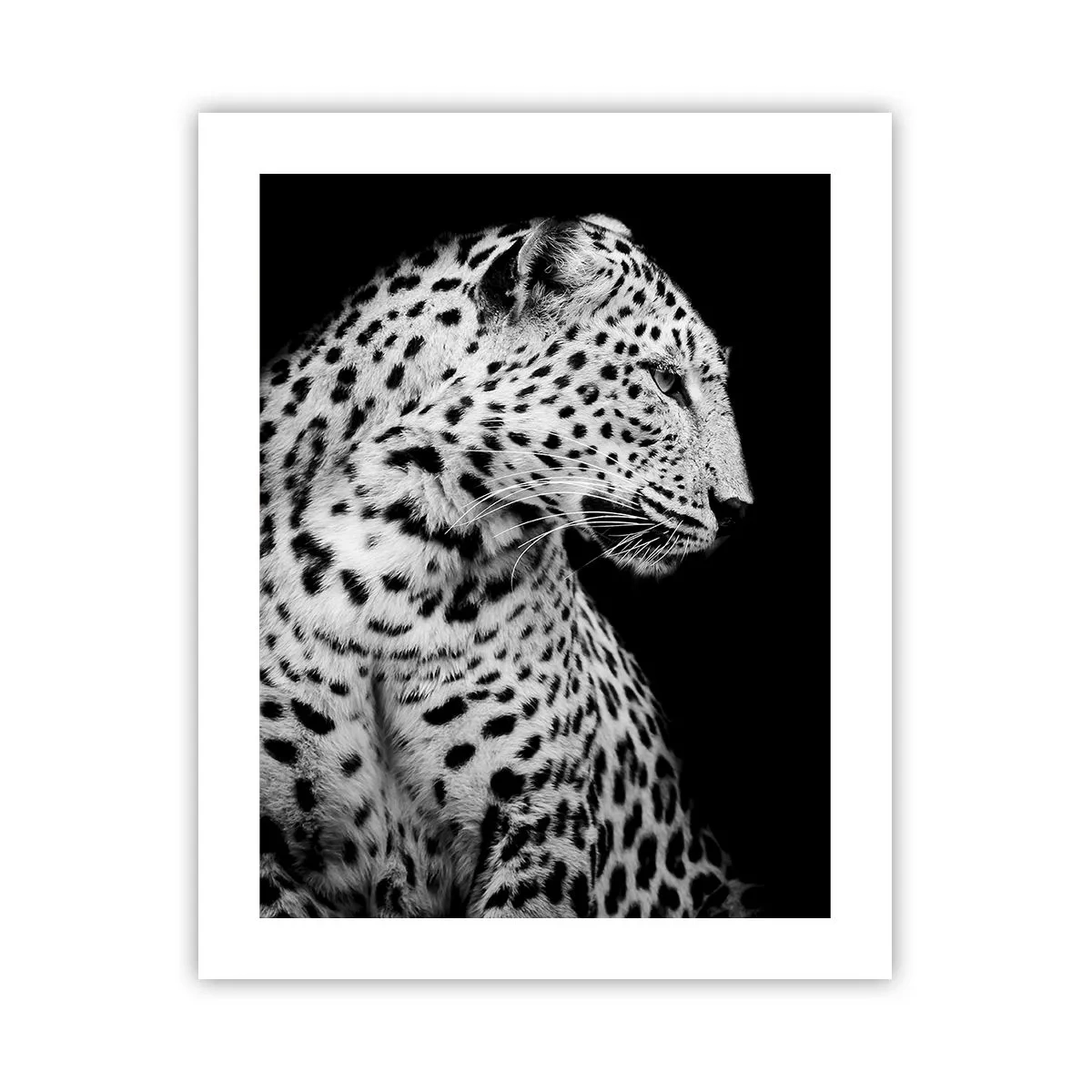 Plagát - Pravý profil perfektný! - 40x50 cm