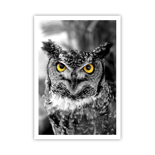 Plagát - Nič sa neschová - 70x100 cm