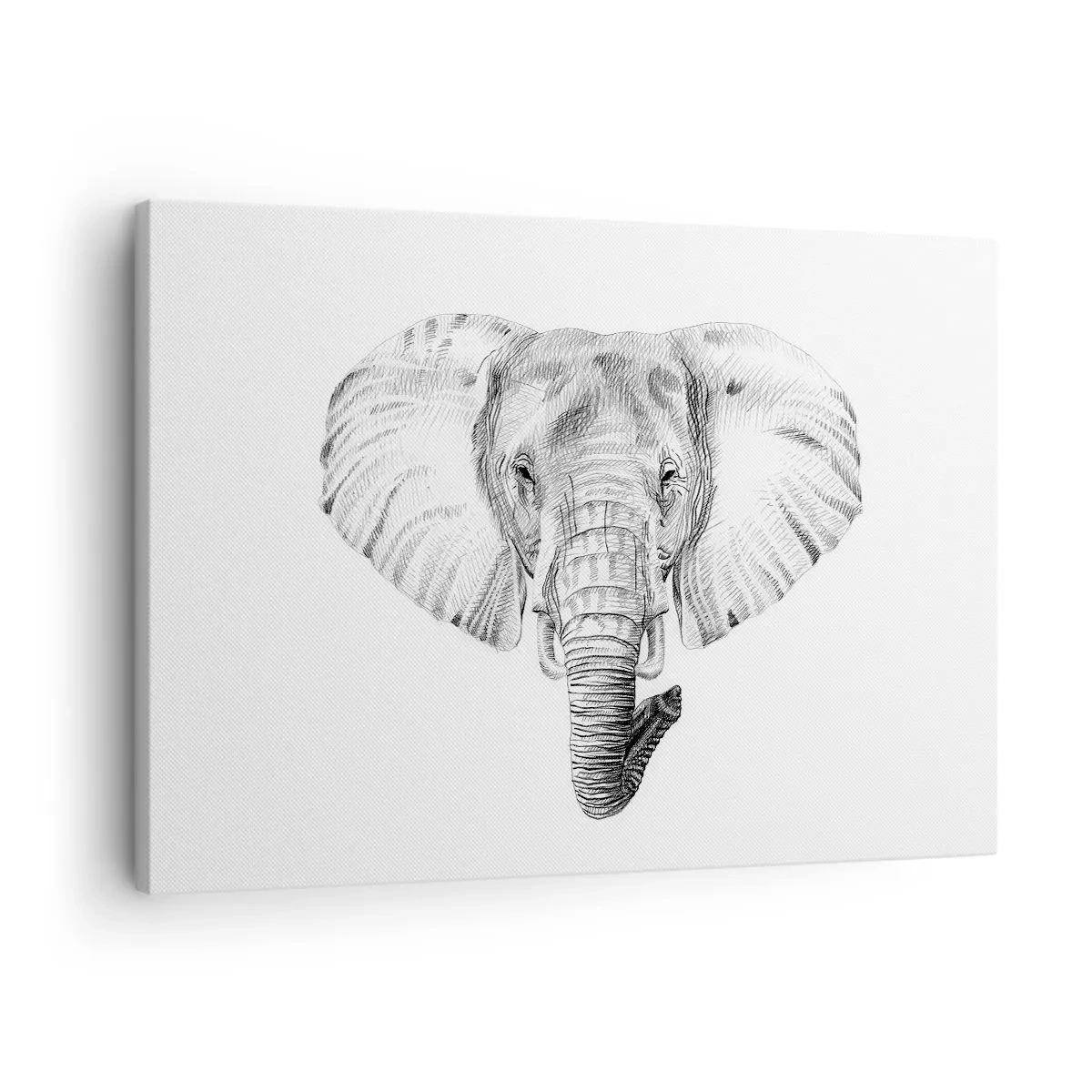 Obraz na plátne - Čiernobiela kresba slonej hlavy na bielom pozadí - 70x50cm - „Bol jeden slon, veľký ako - slon“ - Moderná nástenná dekorácia do obývacej izby a spálne ARTTOR
