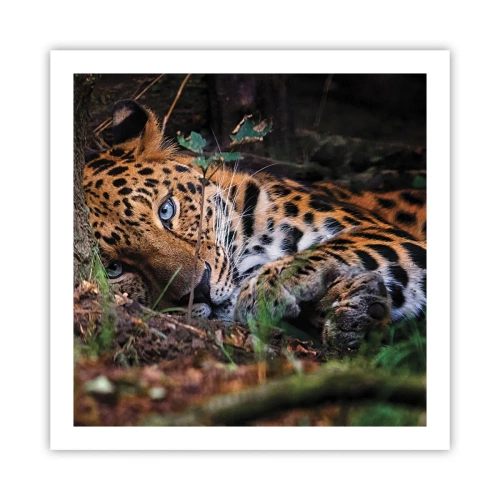 Plagát - Ver mi - 60x60 cm