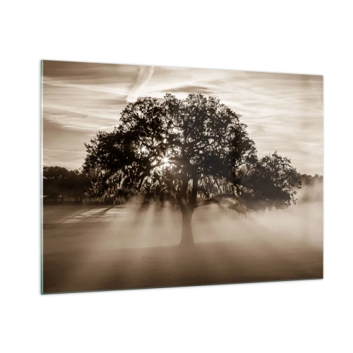 Obraz na skle - Strom správ samotného dobra - 100x70 cm