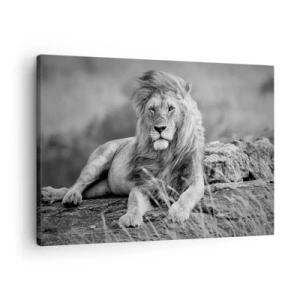 Obraz na plátne - Lev odpočívajúci na skale v monochromatickom štýle - 70x50cm - Kráľovská siesta - Moderná nástenná dekorácia do obývacej izby a spálne ARTTOR