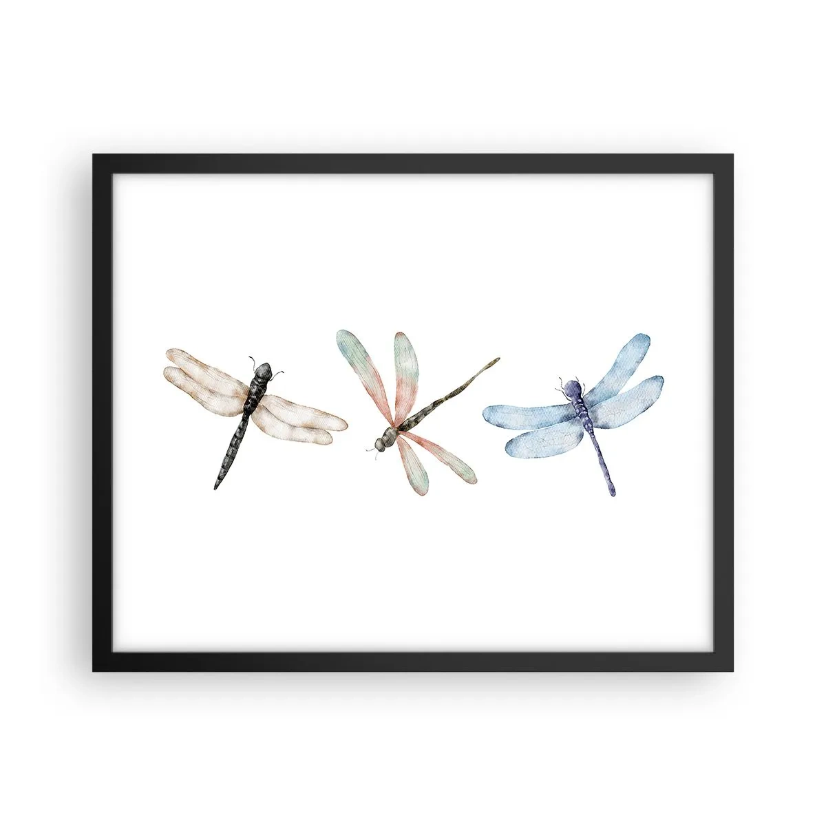 Plagát v čiernom ráme - Beztiažové vážky - 50x40 cm