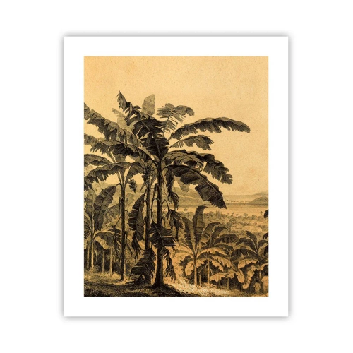 Plagát - V koloniálnom štýle - 40x50 cm