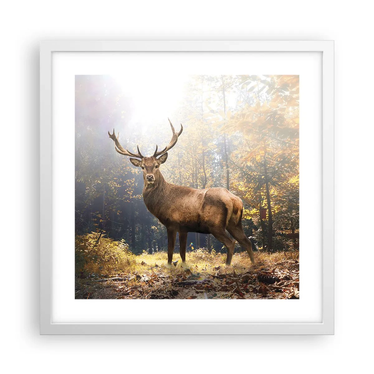 Plagát v bielom ráme - Plné dôstojnosti - 40x40 cm