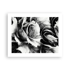 Plagát - Navždy kráľovná - 50x40 cm