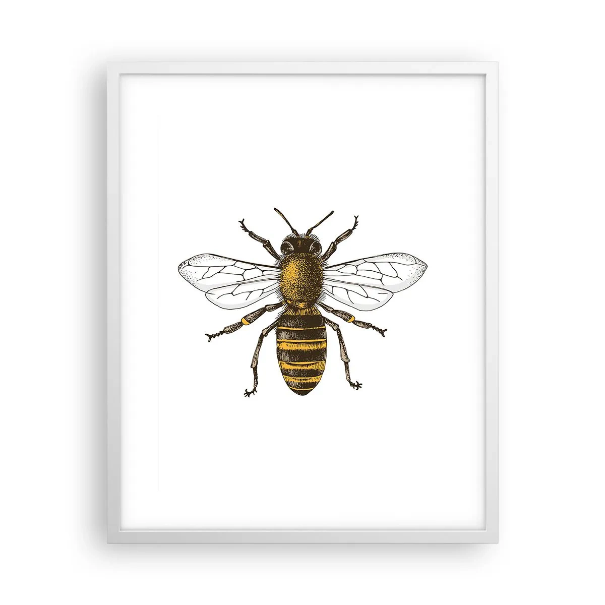 Plagát v bielom ráme - Krásna a dobrá - 40x50 cm