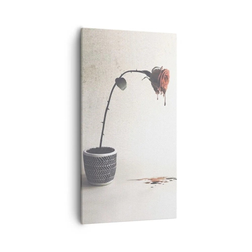 Obraz na plátne - Rosa dolorosa - 55x100 cm