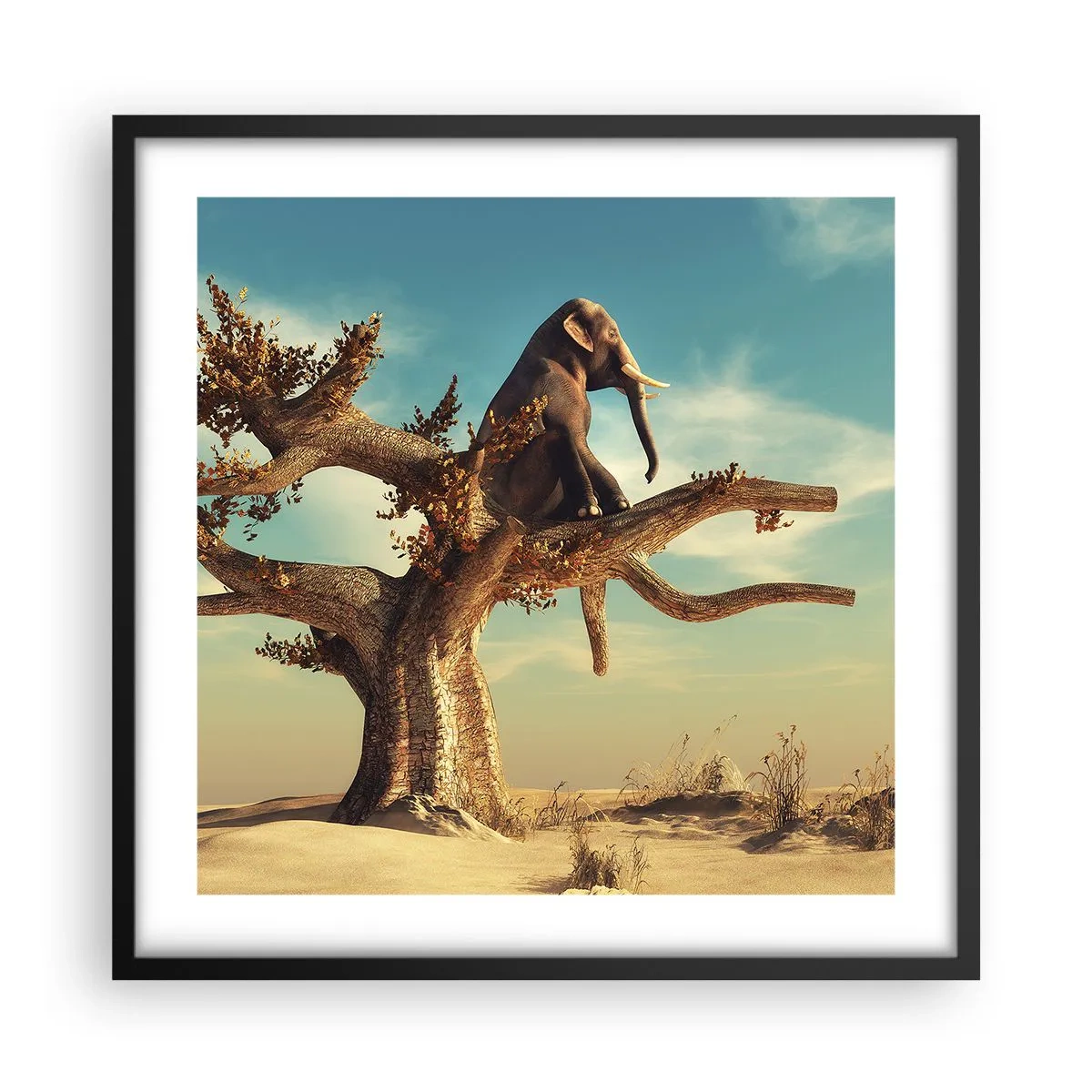 Plagát v čiernom ráme - Nový uhol pohľadu - 50x50 cm