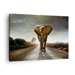 Obraz na plátne - Slon kráčajúci po ceste krajinou pri západe slnka - 70x50cm - A vôbec nie v sklade porcelánu - Moderná nástenná dekorácia do obývacej izby a spálne ARTTOR