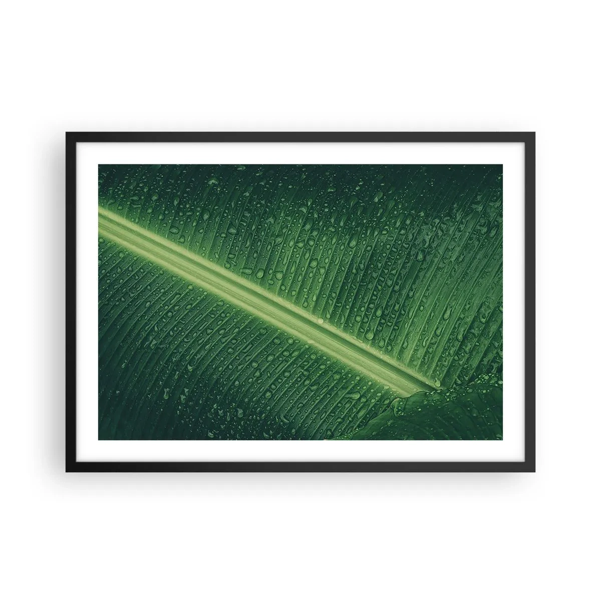 Plagát v čiernom ráme - Štruktúra zelenej - 70x50 cm