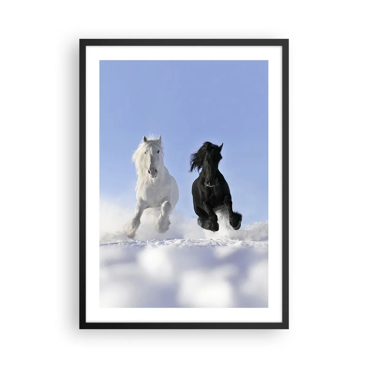 Plagát v čiernom ráme - Biely a čierny kôň cválajúci v snehu - 50x70cm - Čierno-biely cval - Moderná nástenná dekorácia do obývacej izby a spálne ARTTOR