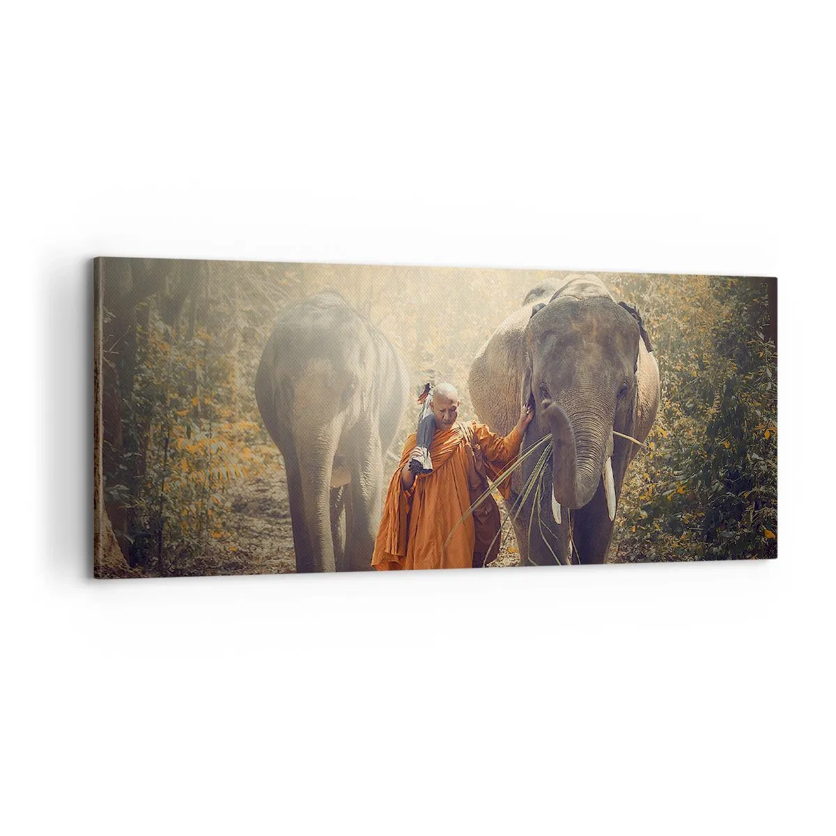 Obraz na plátne - Plné pochopenie - 100x40 cm