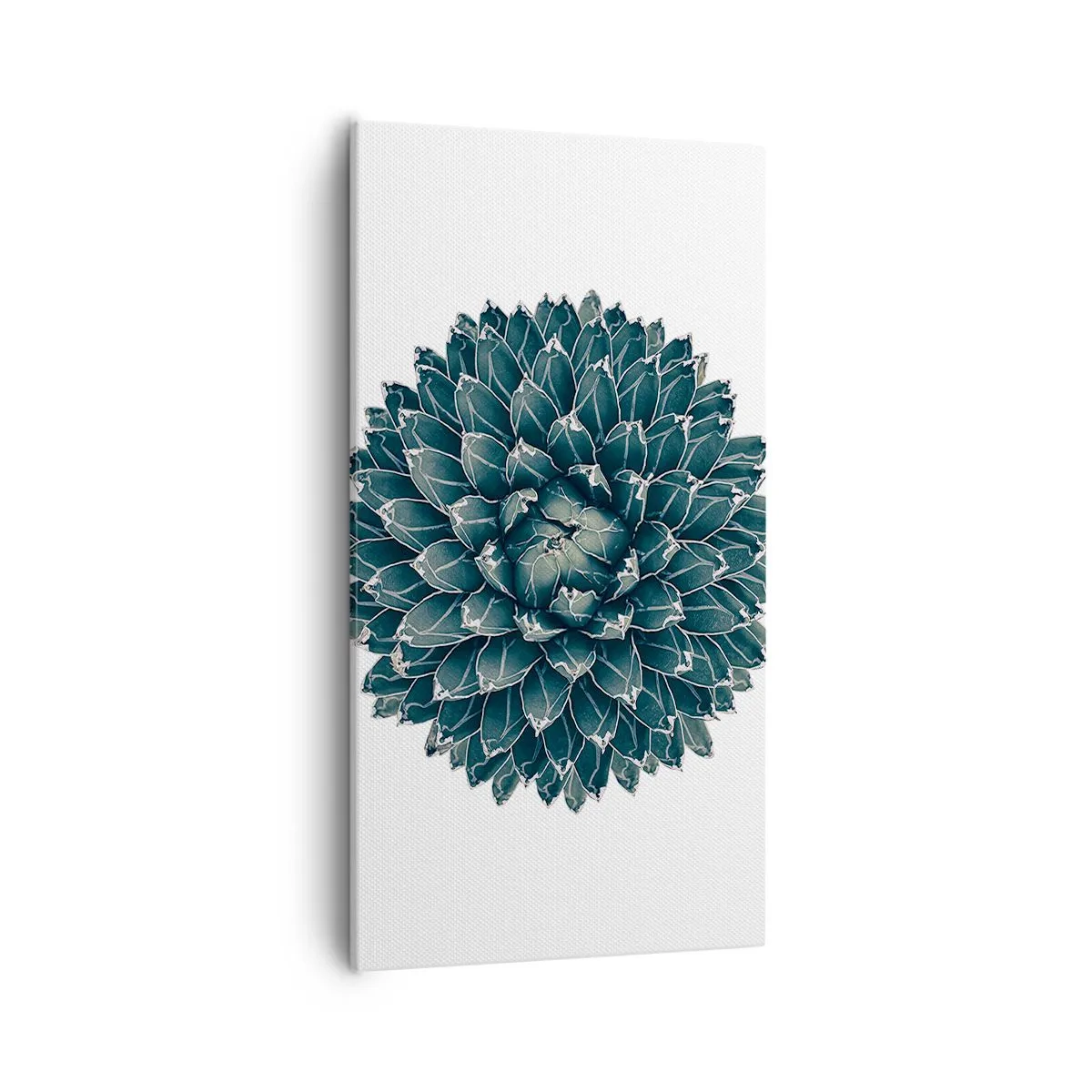 Obraz na plátne - Hviezda púšte - 55x100 cm