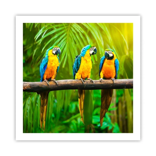 Plagát - Počula si, že ona…? - 60x60 cm