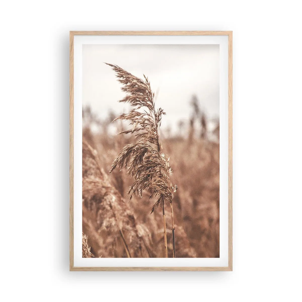 Plagát v ráme zo svetlého duba - Na poliach už je jeseň - 61x91 cm