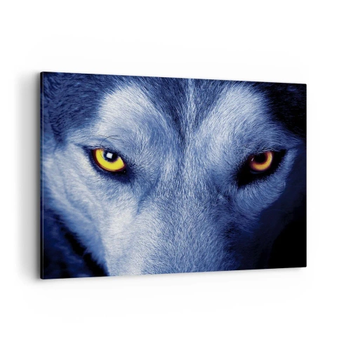 Obraz na plátne - Fascinujúci pohľad - 100x70 cm