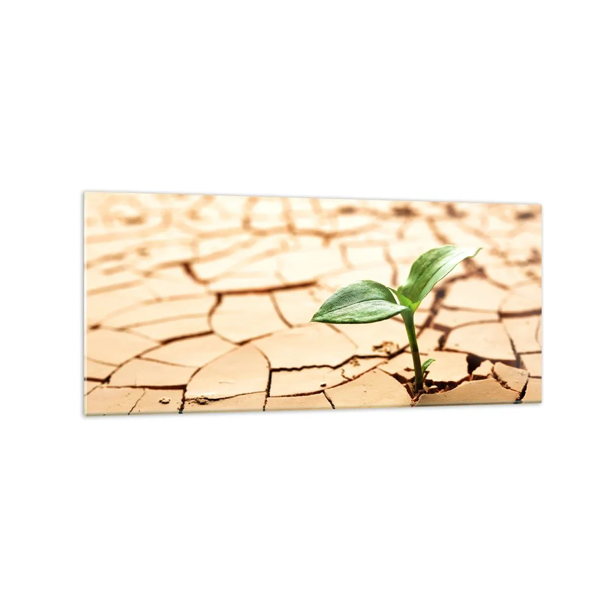 Obraz na skle - Nespútaná sila života - 120x50 cm