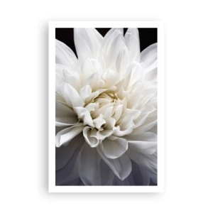 Plagát - Ráno s nevestou - 61x91 cm