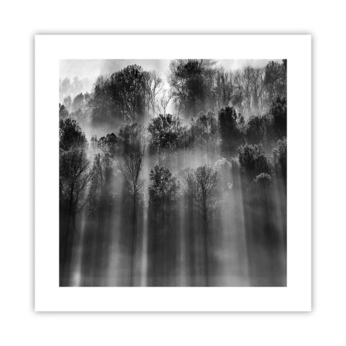 Plagát - V lúčoch svetla - 40x40 cm