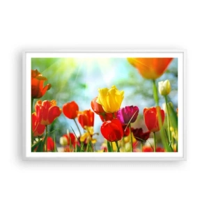 Plagát v bielom ráme - Všetky farby slnka - 91x61 cm