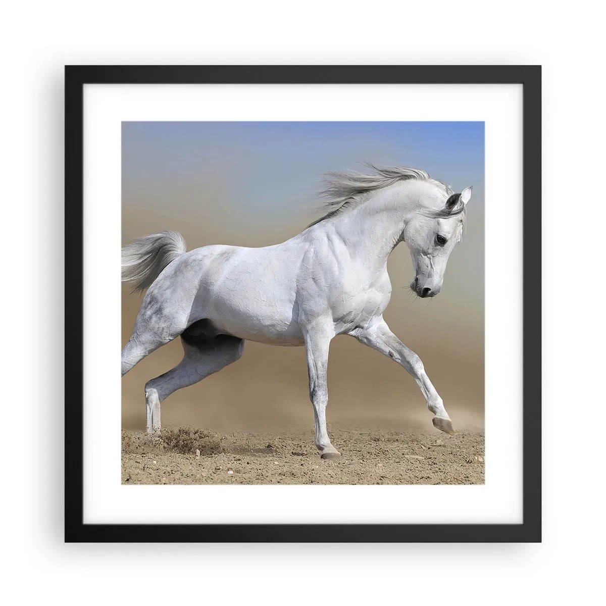 Plagát v čiernom ráme - Najkrajšia arabská rozprávka - 40x40 cm