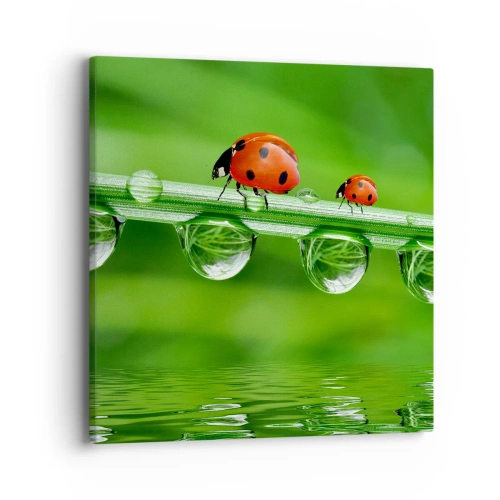 Obraz na plátne - Na cestách celé leto - 40x40 cm