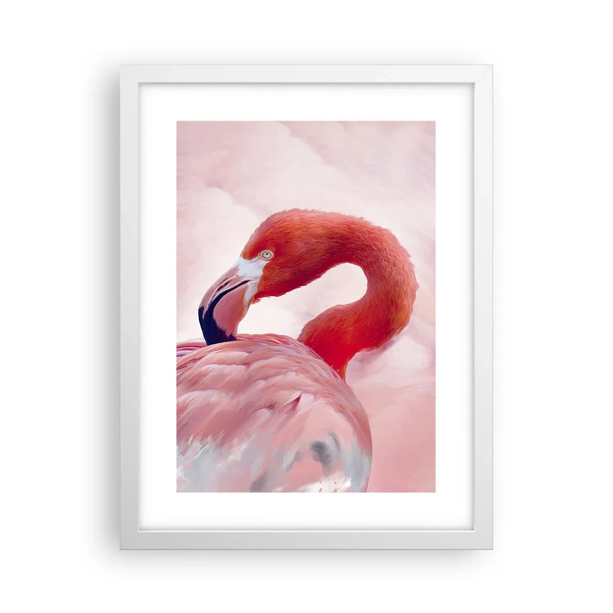 Plagát v bielom ráme - Vtáčia krása - 30x40 cm
