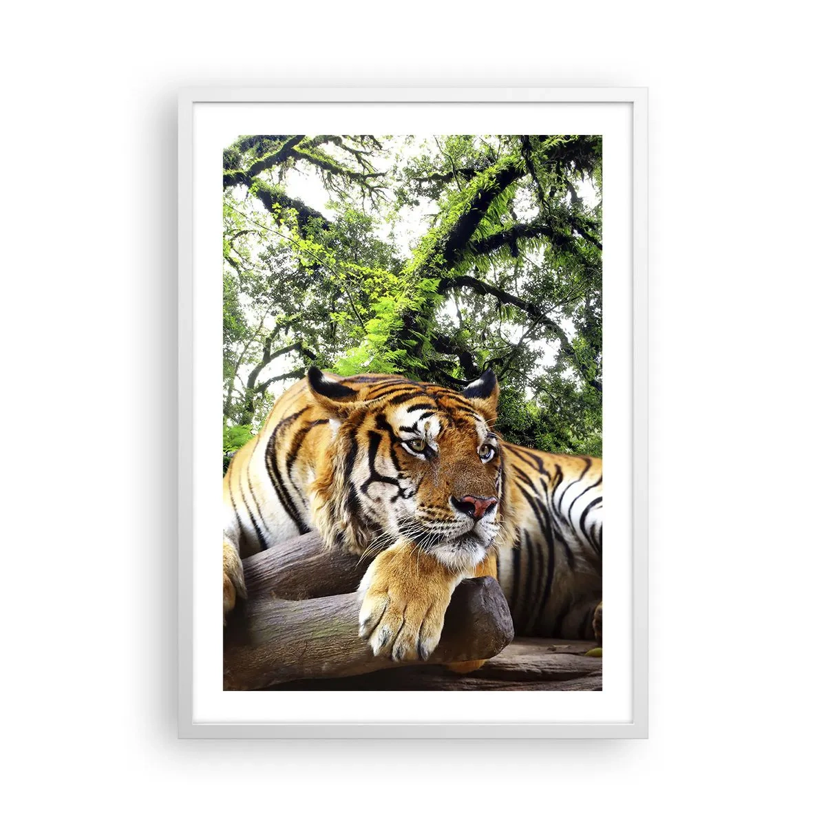 Plagát v bielom ráme - S úctou - 50x70 cm