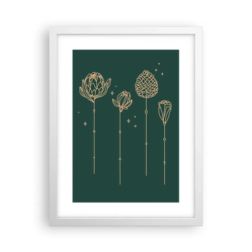 Plagát v bielom ráme - Bylinky - 30x40 cm