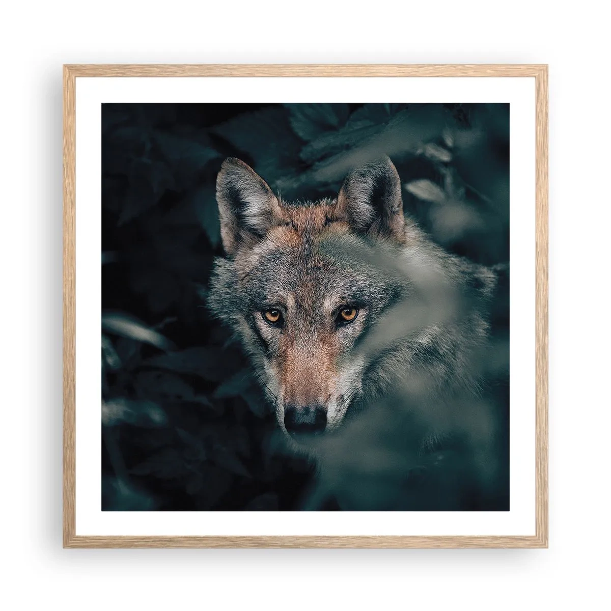 Plagát v ráme zo svetlého duba - Predátor - 60x60 cm