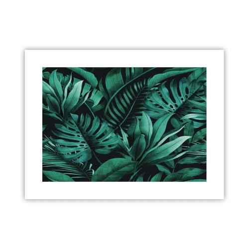 Plagát - Hĺbka tropickej zelene - 40x30 cm