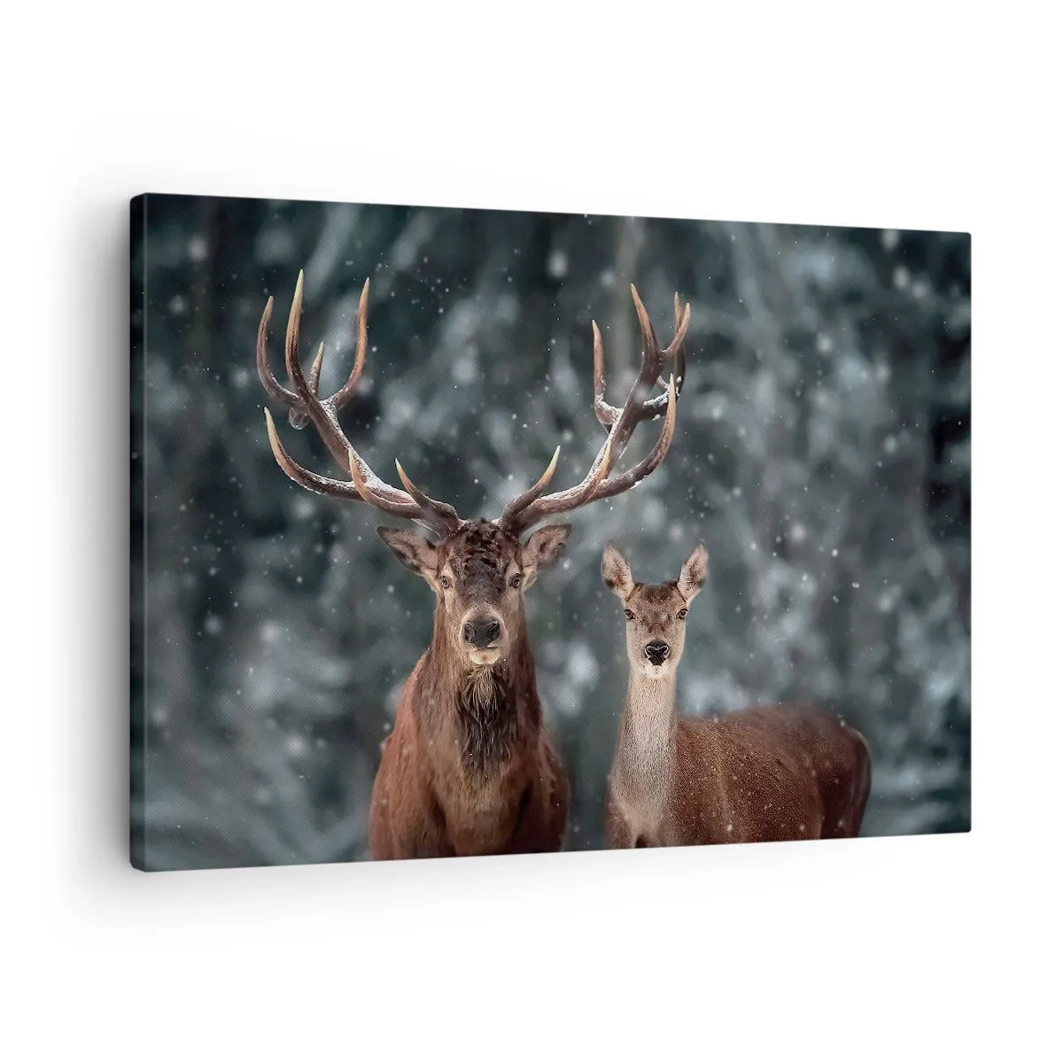 Obraz na plátne - Jeleň v zasneženom zimnom lese - 70x50cm - Pán lesa so svojou ženou - Moderná nástenná dekorácia do obývacej izby a spálne ARTTOR