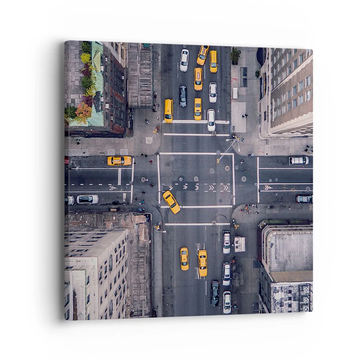 Obraz na plátne - Jednoduchá voľba - 40x40 cm