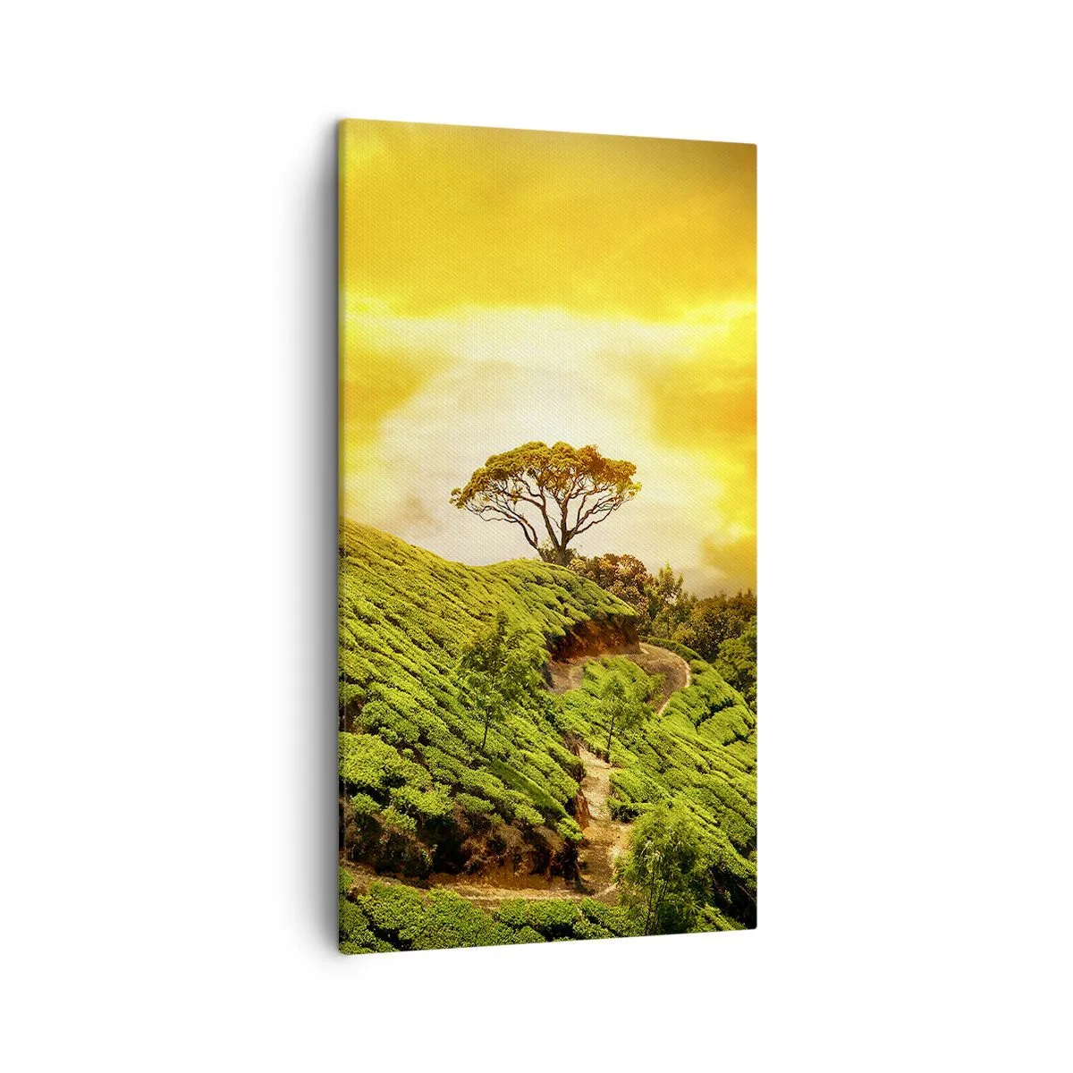 Obraz na plátne - Kľukatým chodníkom, zeleným úbočím - 45x80 cm