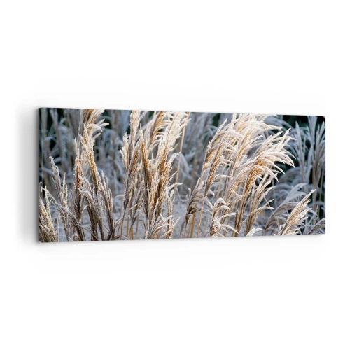 Obraz na plátne - Mrazom pokryté - 120x50 cm