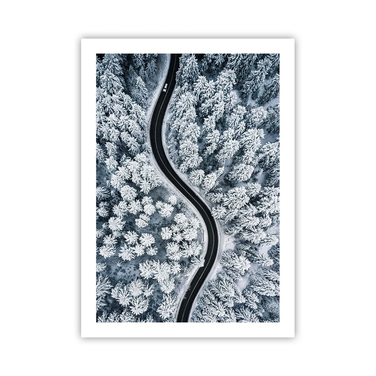 Plagát - Zimným lesom - 50x70 cm