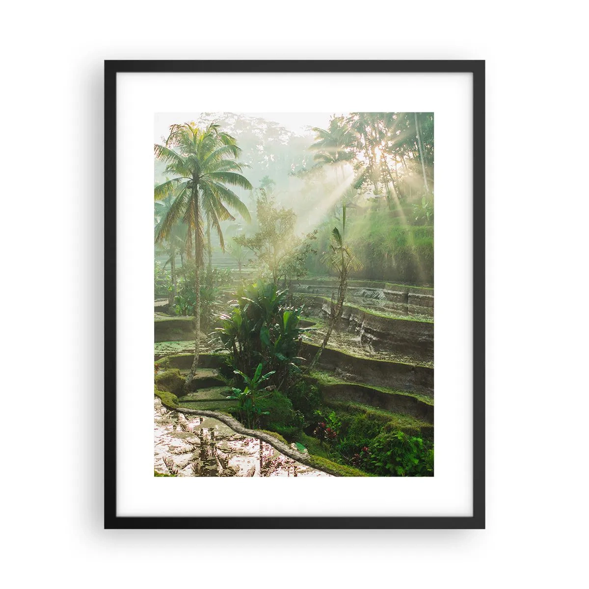 Plagát v čiernom ráme - Vyrastať na slnku - 40x50 cm