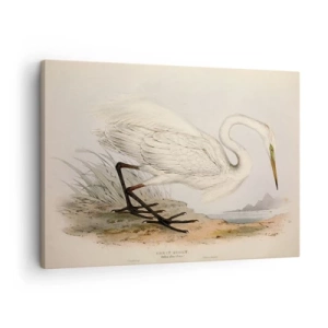 Obraz na plátne - Kresba bielej volavky na pozadí prírodnej krajiny - 70x50cm - Pani rákosín - Moderná nástenná dekorácia do obývacej izby a spálne ARTTOR