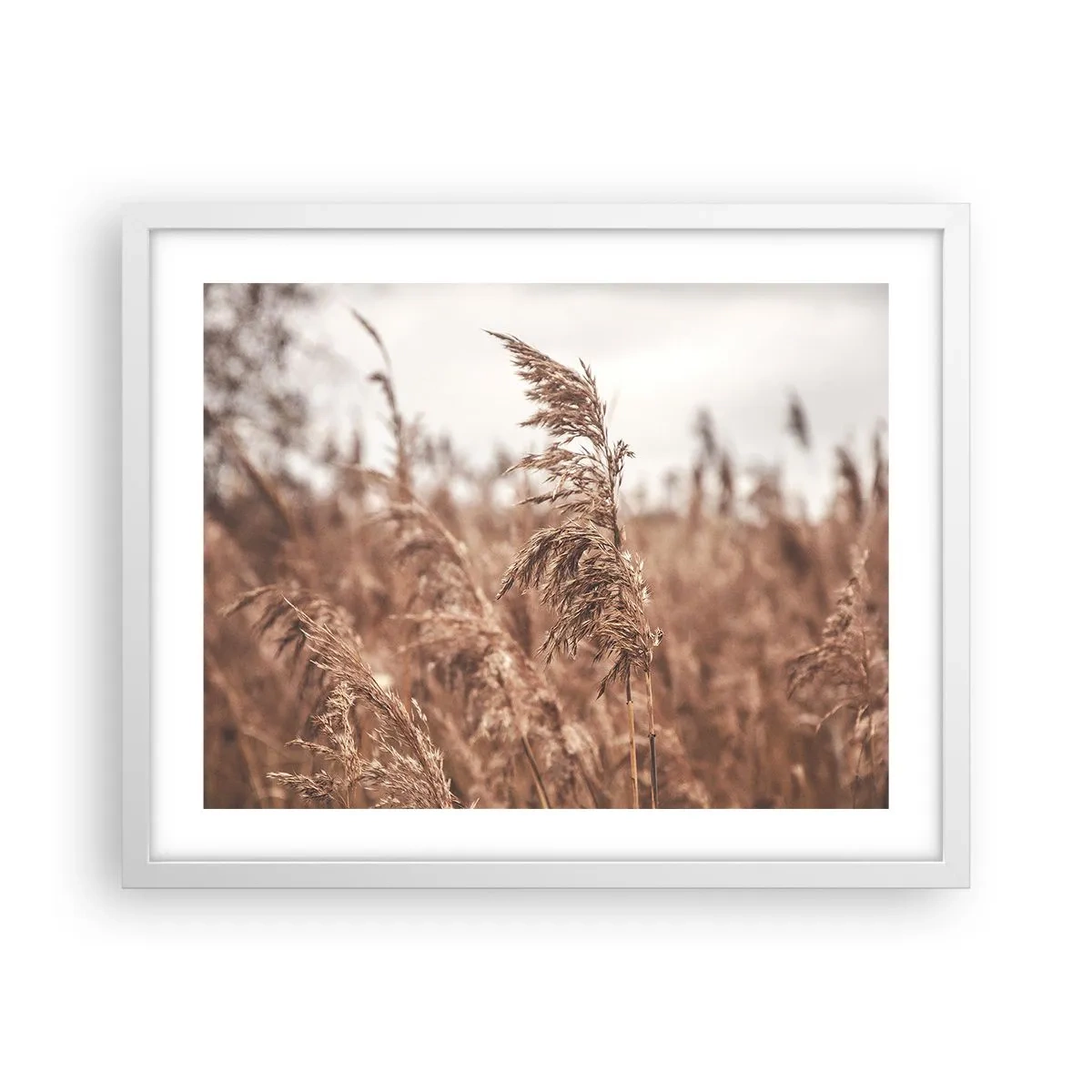 Plagát v bielom ráme - Na poliach už je jeseň - 50x40 cm