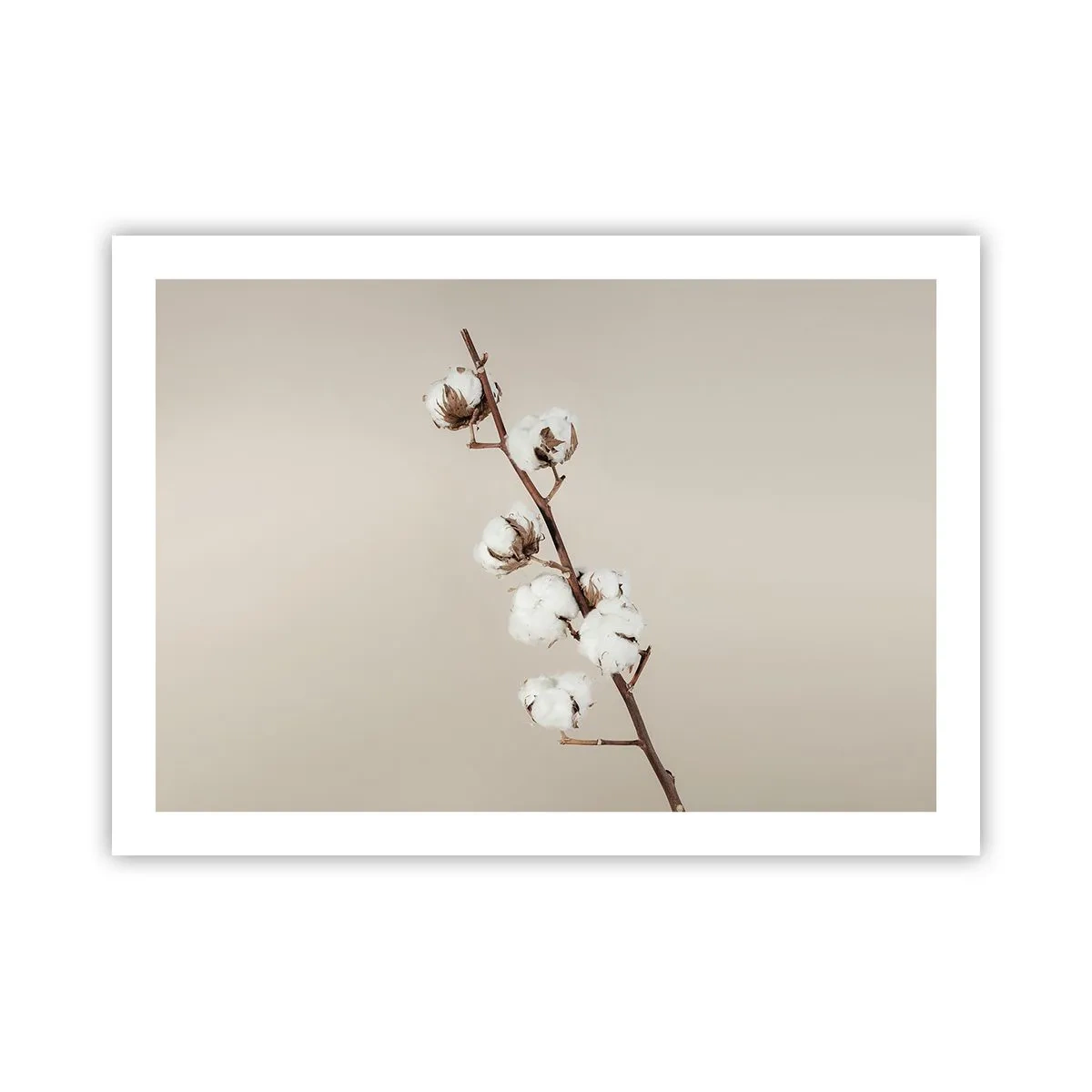 Plagát - Pri zdroji mäkkosti - 70x50 cm