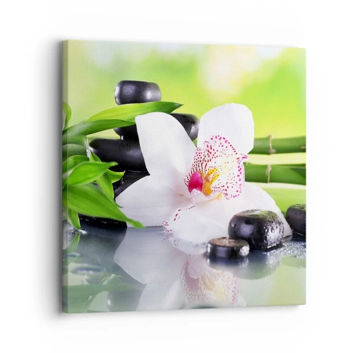 Obraz na plátne - Chladná sviežosť - 30x30 cm