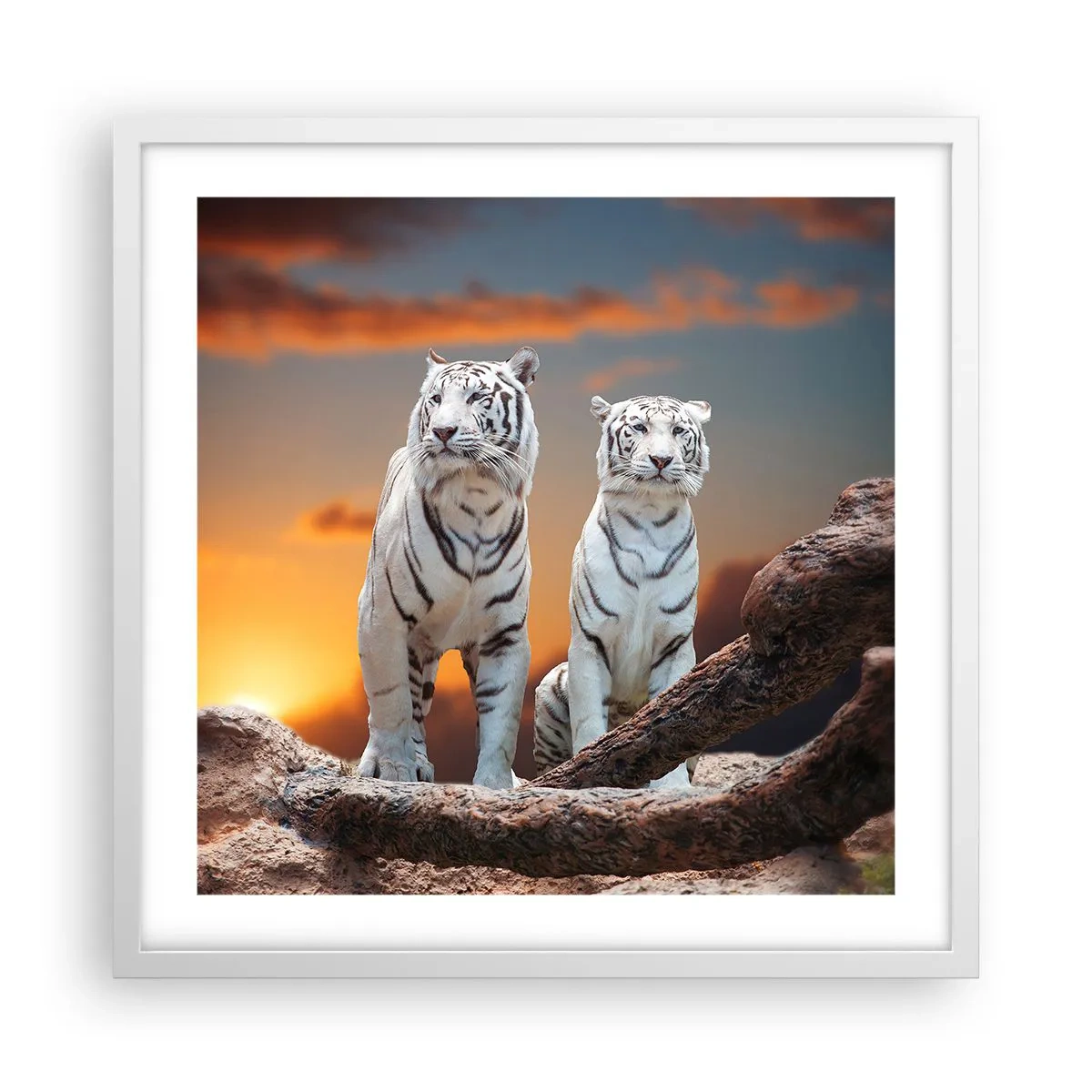 Plagát v bielom ráme - Úplne ako v Narnii - 50x50 cm